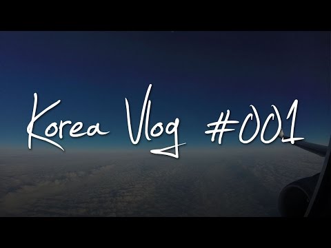 Mika coming back to Korea (Korea Vlog 2015 / K-Vlog #001)