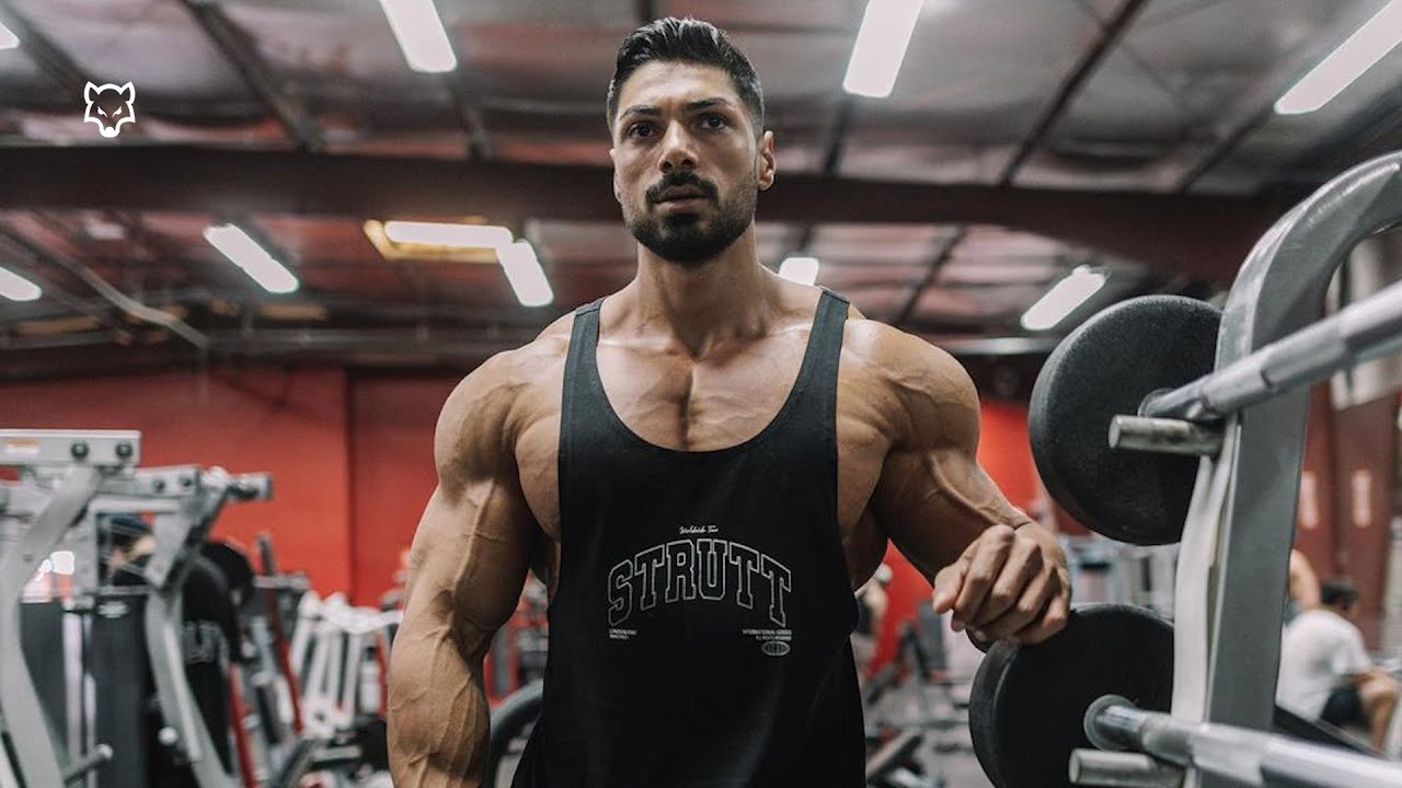 BAD WOLF 🐺 - Andrei Deiu