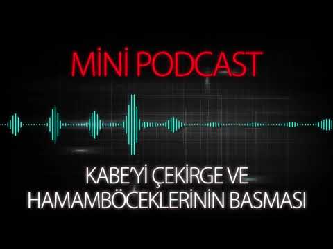 MP - Kabe'yi Çekirge ve Hamam Böceklerinin İstila Etmesi