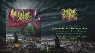 Inanimate Existence "Underneath a Melting Sky" (HQ)