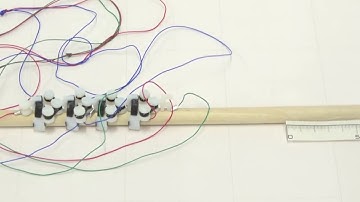 Caterpillar-inspired Crawling Robot on a Stick using Active-release and Passive-grip Elastic Legs