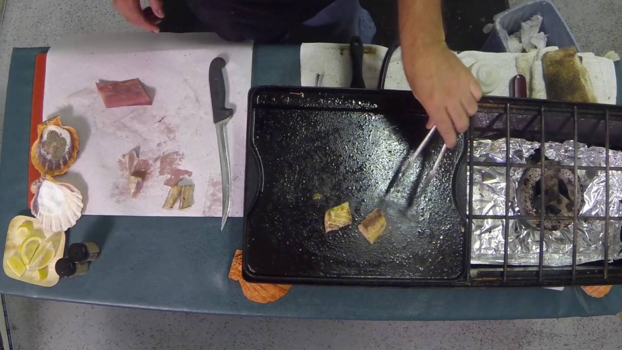 Cooking Yellowtail to Proper Temperature on Sporting Chef TV