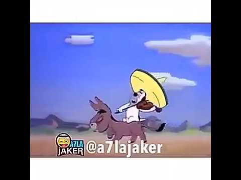 الربابه صح ههههههه