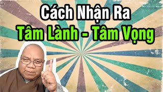 Thầy Đàm Đạo 29-05-2023 - Phân Biệt Tâm Lành Và Tâm Vọng - Pháp Thoại Thích Thiện Tài