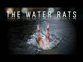 The Water Rats | Official Trailer