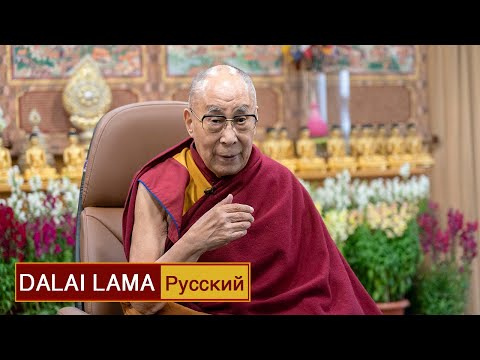 Video: Dalay Lama nima qilar edi?