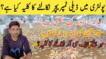 Poultry Main Daily Tampracher Kaisy Nikalty hain | FCR nikalny ka Tarika