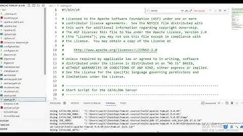 Apache Tomcat系统精讲Java面试必备课程 - 实战课程- 慕课网