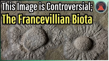 This Image is Controversial; The Francevillian Biota