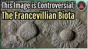 This Image is Controversial; The Francevillian Biota