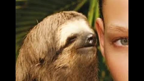 Most Complimented Fragrances Q4 2021