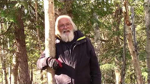 120 Deadwood in the Woodlot, Good or Bad?