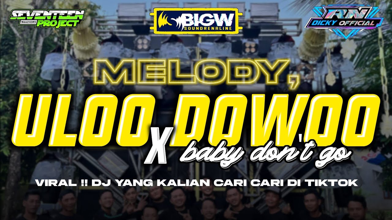 DJ FYP TIKTOK BIGW YG DI CARI CARI - BABY DONT GO x MELODY ULO DOWO