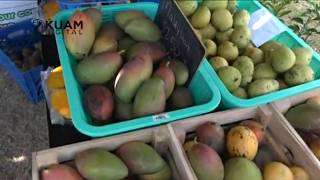 Hagat excited to welcome all villagers to weekend-long Mango Festival