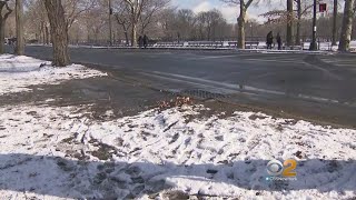 2 Men Mugged In Central Park