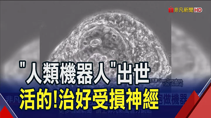 不是科幻电影! 人体细胞真做成机器人了 研究初期就能活60天 未来有望治愈伤口或受损组织｜非凡财经新闻｜20231201 - 天天要闻