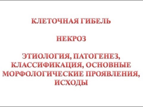 Некроз. Общие вопросы