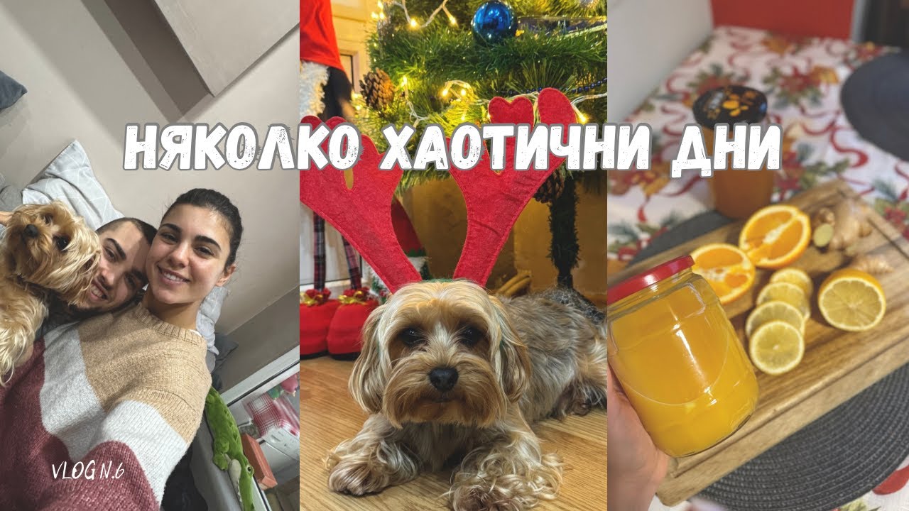 Сезонът на боледуването/ Как НАТУРАЛНО стимулирам имунната си система