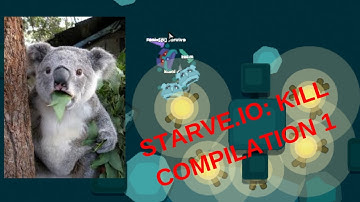 Starve.io Kill Compilation v1