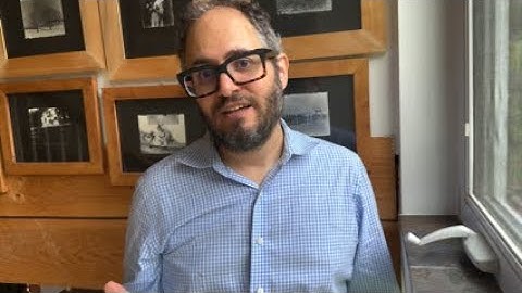 How synchronized brain networks created schools of fish and human flash mobs