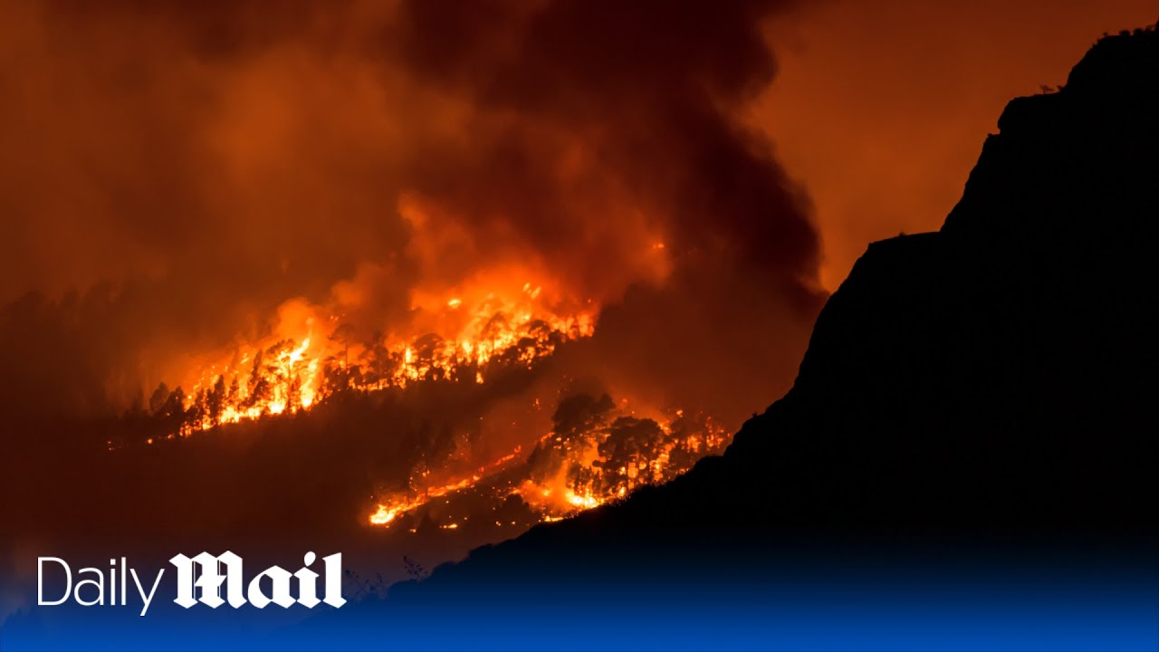 Tenerife wildfire: 14 mile long wildfire spreading through the Spanish island