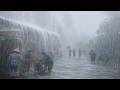 Walking in Nonstop Rain in Rural Indonesia 🌧️ | Peaceful Village Ambience & Nature Sounds