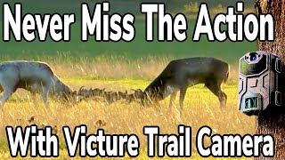 Best Trail Camera Under $50.00 #VictureTrailCamera #1080HDHuntingCamera #AmazonTrailCameras