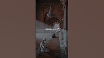 #تلاوة_خاشعة تريح القلب 🫀