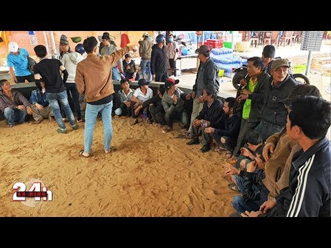 Vô tư tổ chức đá gà ngay tại khu du lịch sinh thái | An ninh 24h