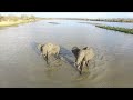 Amazing Selous by Drone - African Wildlife Aerial Video in 4K