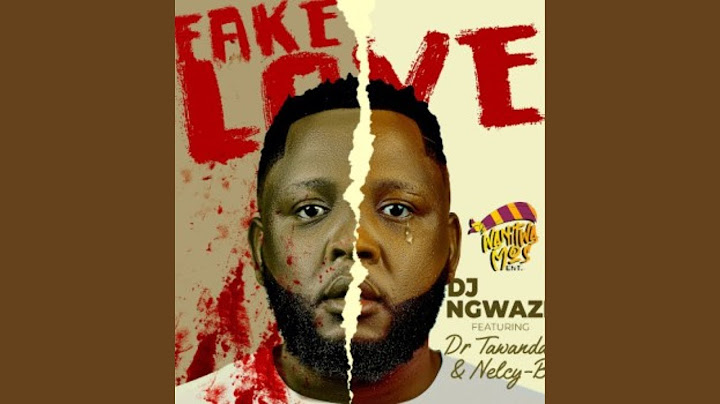 DJ Ngwazi - Fake Love (Official Audio) [Feat. Dr Tawanda & Nelcy B]