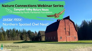 Sneak Peek into a Rare Northern Spotted Owl Nest! | Nature Connections Webinar Series