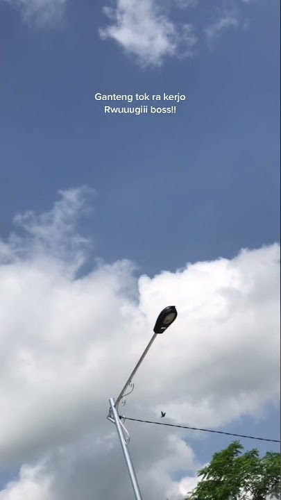 story wa ganteng tok ra kerjo