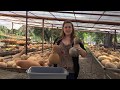 How to Clean a Gourd - Welburn Gourd Farm