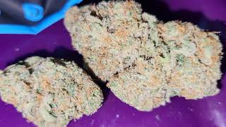 New Cookies Hemp Cbd Indoor Flower Monkfruit Strain Review #cookiescbd #cookiesstrain #cookiessf
