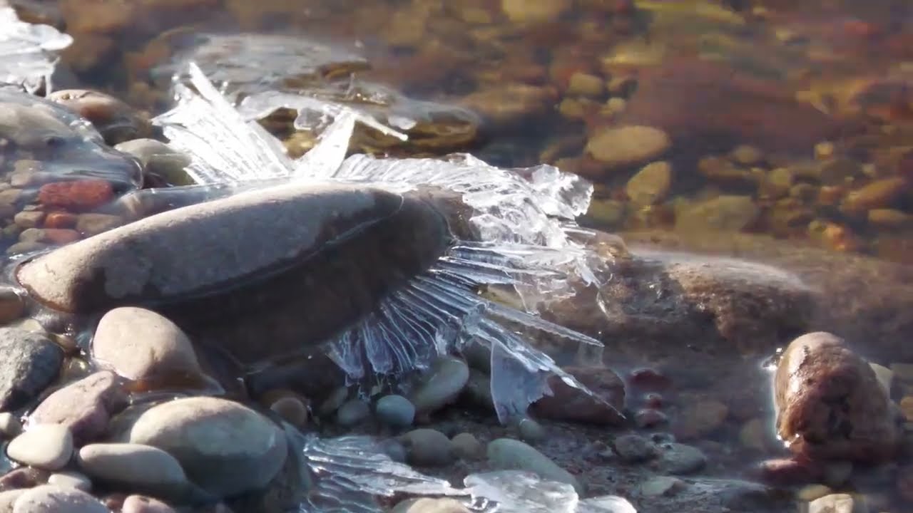 Ūdens ritmi Muižupītē