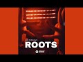 Lst individual  roots original mix