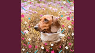 Retro Backdrops for Doggy Bedtime