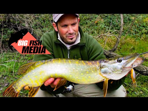 Video: Wie Man Raubfische Fängt