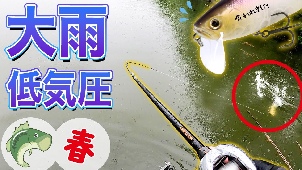 大雨＋低気圧】雨パワーでビッグベイトが簡単に食われた！【春のバス