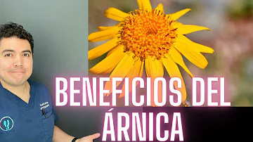 ¿Es bueno el árnica para los hematomas?