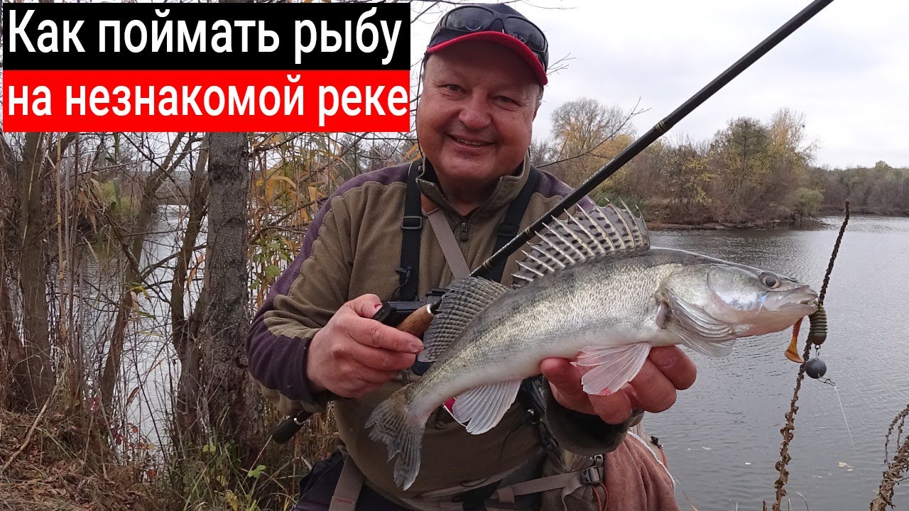 Как найти и поймать рыбу на новом участке реки осенью? Нюансы и секреты ...