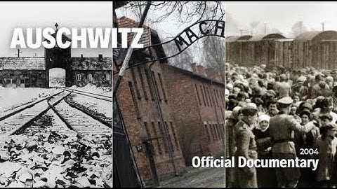 Auschwitz: The Nazis and 