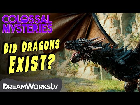 Did Dragons Ever Exist? | COLOSSAL MYSTERIES
