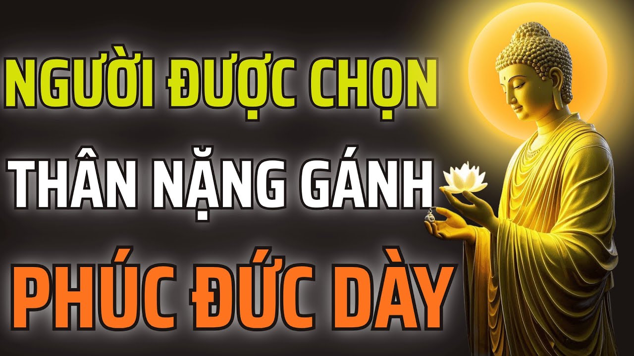Người Được Chọn Luôn Mang Thân Nặng Gánh: Không Phải Để Khổ, Mà Để Giác Ngộ