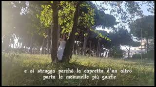 4C Orazio est modus in rebus Calandrino Morini Di Matteo