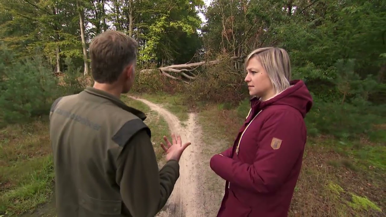 Spannende paadjes in een verwilderd Drents-Friese Wold | ROEG! Uitzending