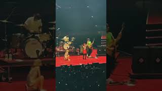 PARAMORE brings up a fan to stage live from MSG #paramore #hayleywilliams #fan #shortsvideo
