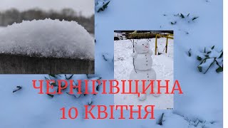 : в    Ͳ  '.