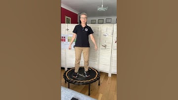 The Rebounder I Use…